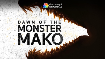 Dawn Of The Monster Mako